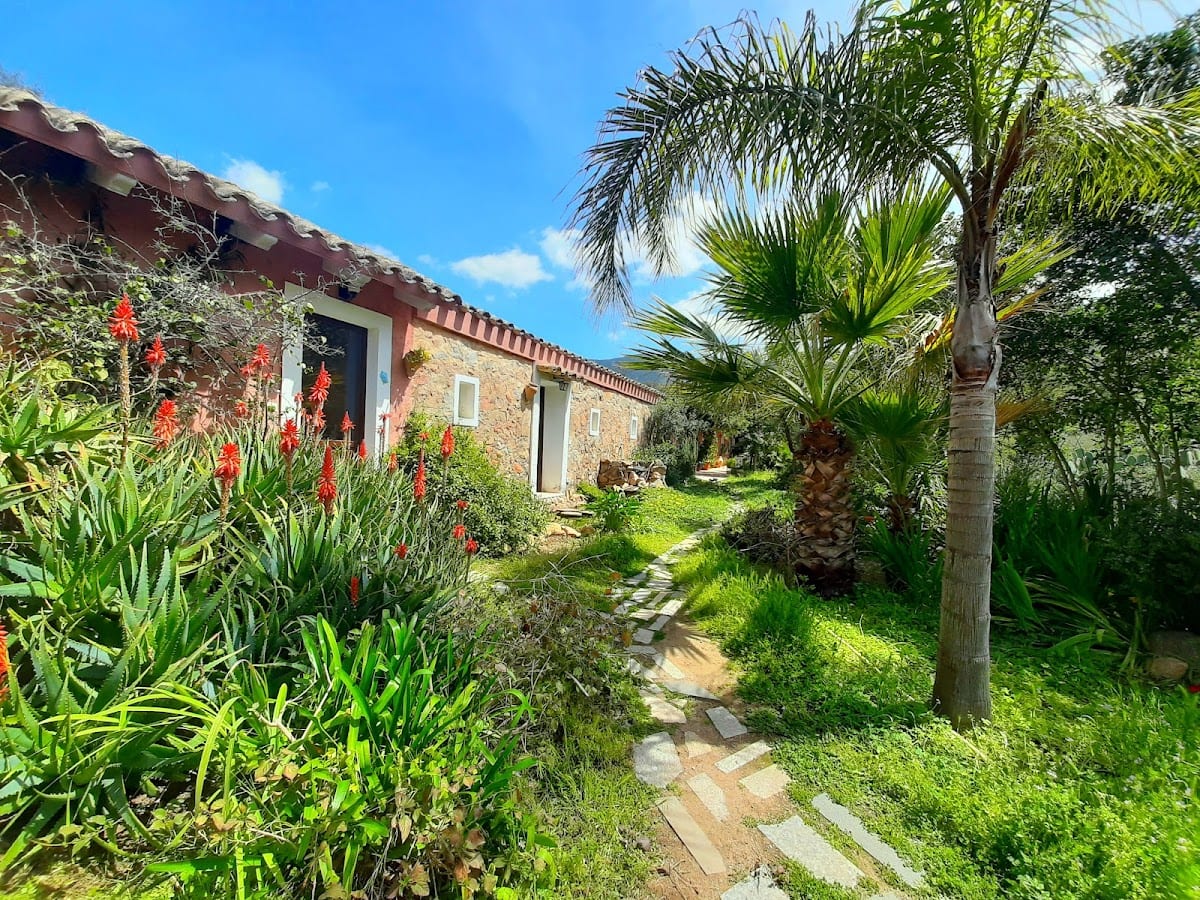 La Fattoria delle Tartarughe - Tortoises Farm Eco&Veg friendly Lodge