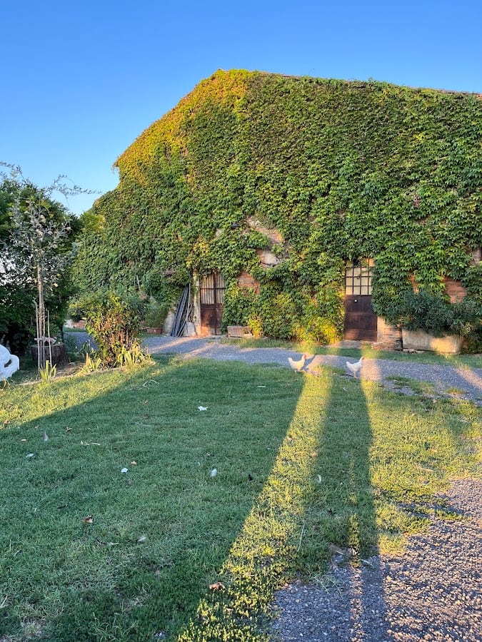 Bed & Breakfast "Il Pavone"