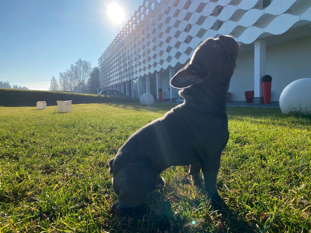 MO.OM Hotel