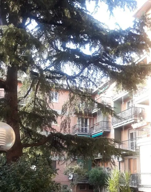 Gabrielli Rooms & Apartments