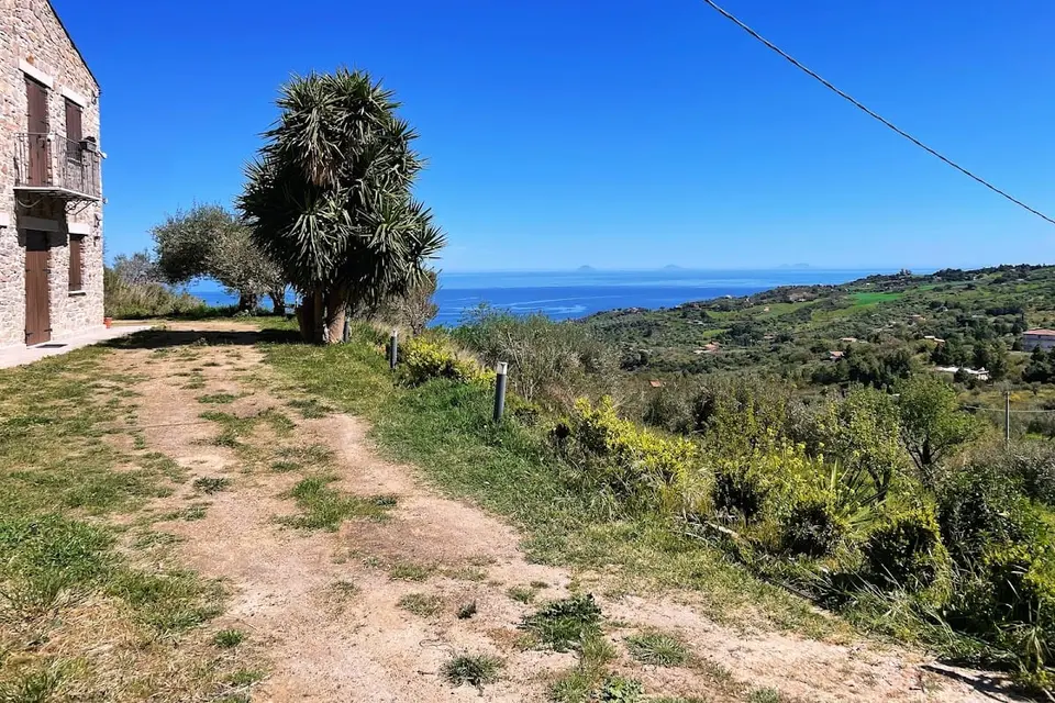 Orto Raccolto