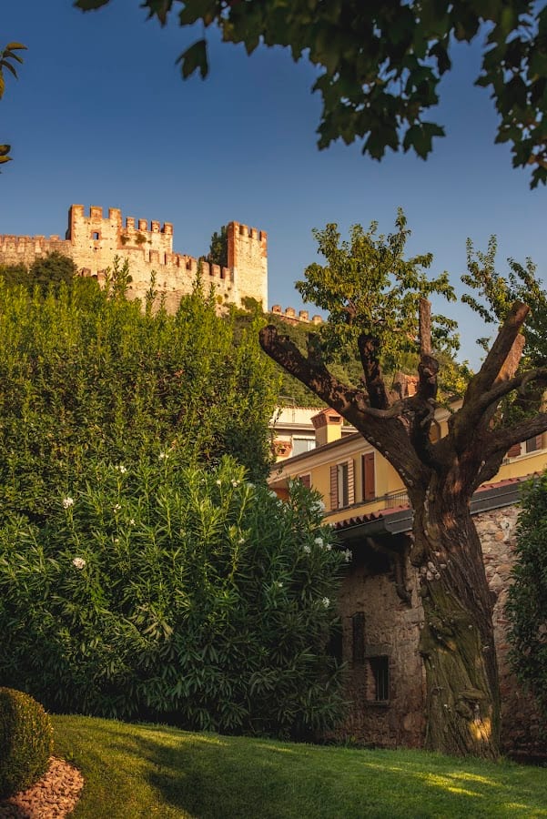 DAMARANTO RISTORANTE CON CAMERE