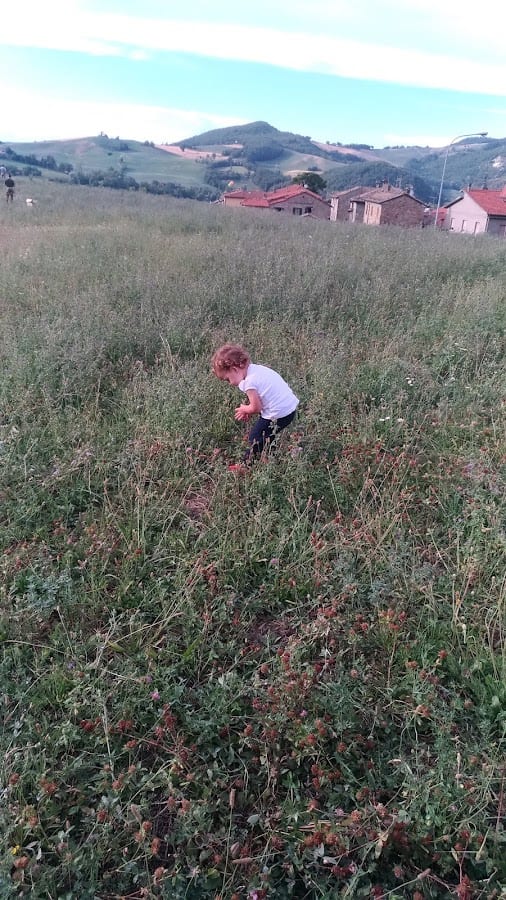 Agriturismo Castione