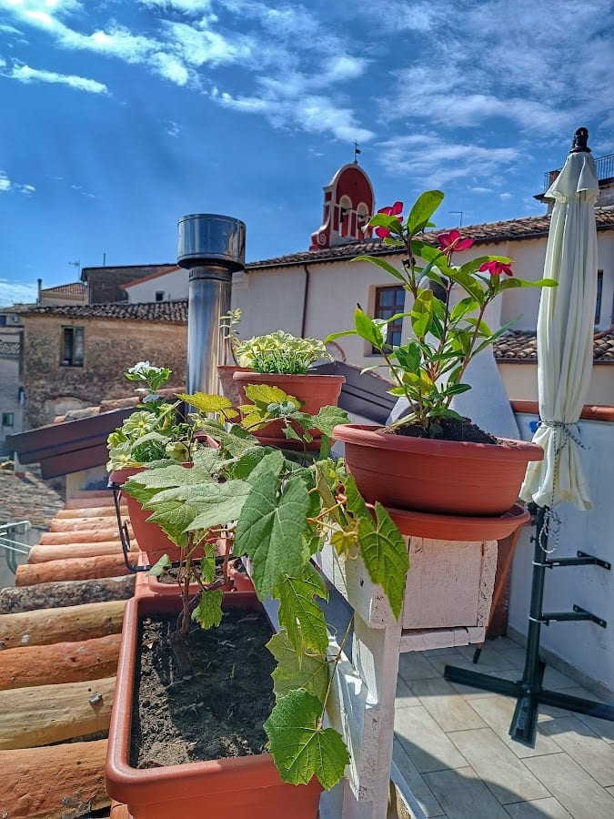 B&B Domus San Pietro