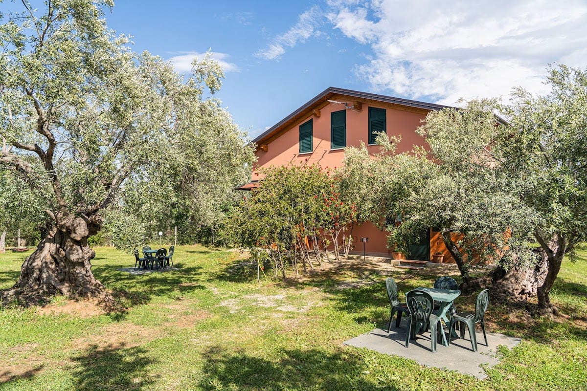 B&B La Piana degli Ulivi