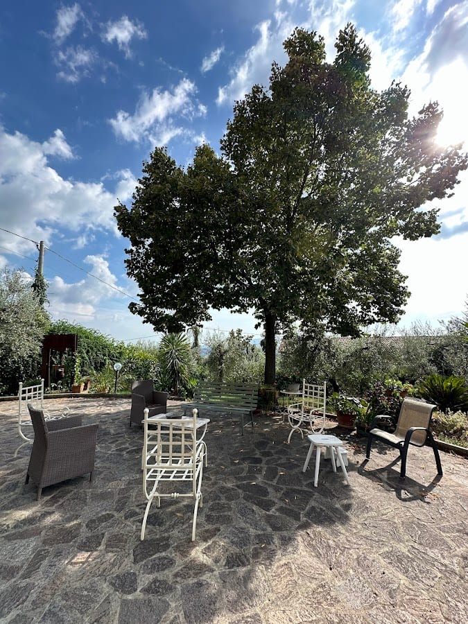 B&B L'Uliveto