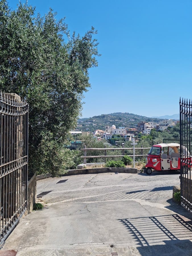 Agriturismo il Turuziello