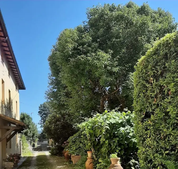 Bed & Breakfast Antica Fattoria La Verdina