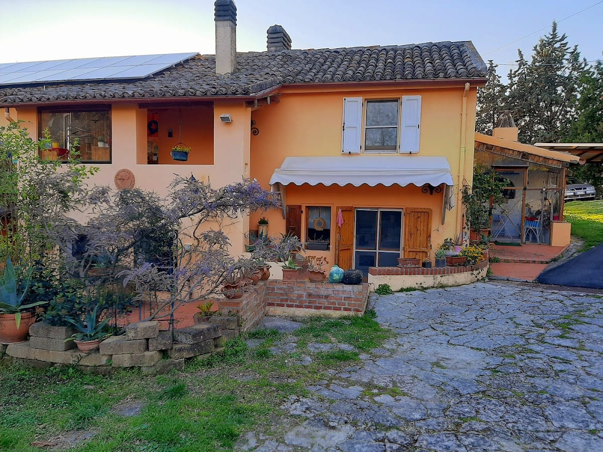 B&B Glicine