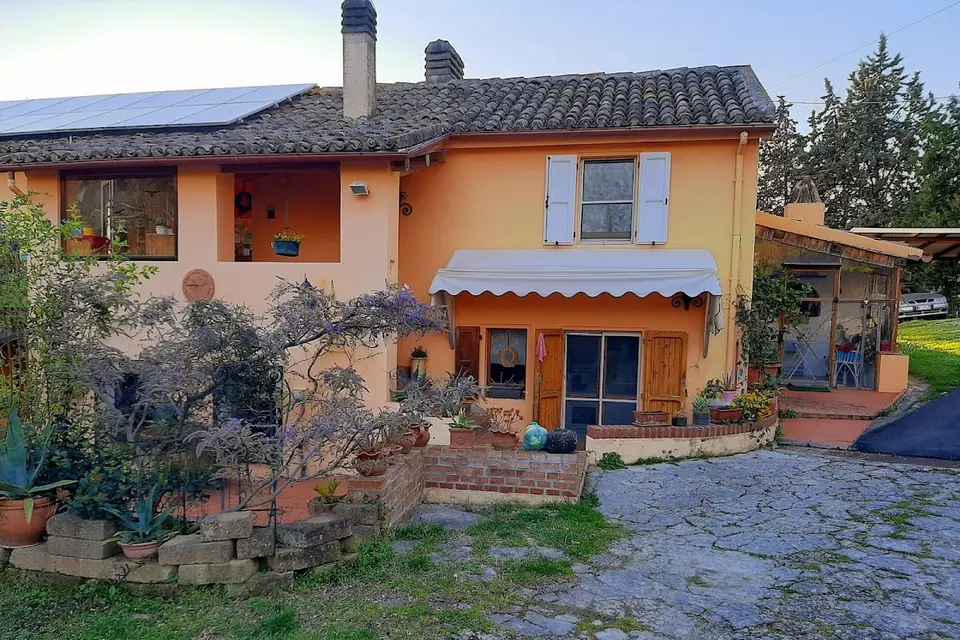 B&B Glicine