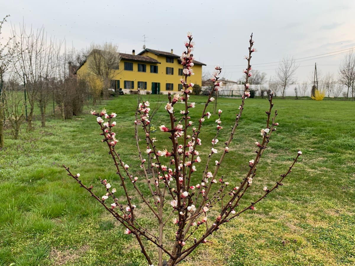 B&B Sangiligio
