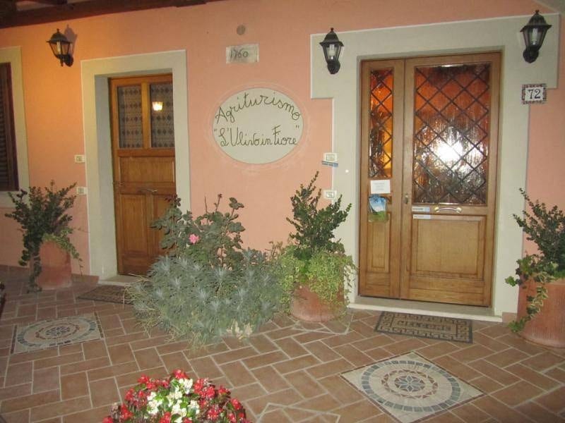 l'Ulivo in Fiore