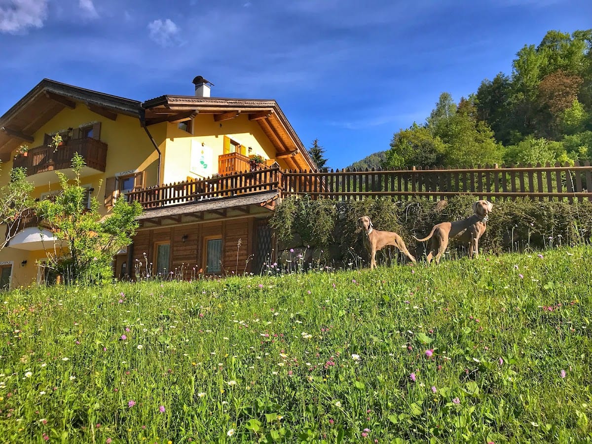 Eco-Baita Natura Spensierata