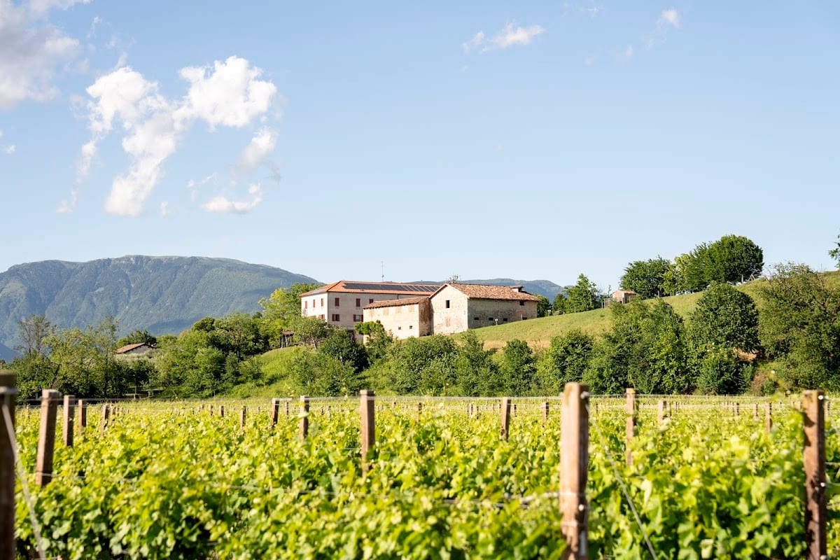 Tenuta Malvolti - Al Vecchio Convento