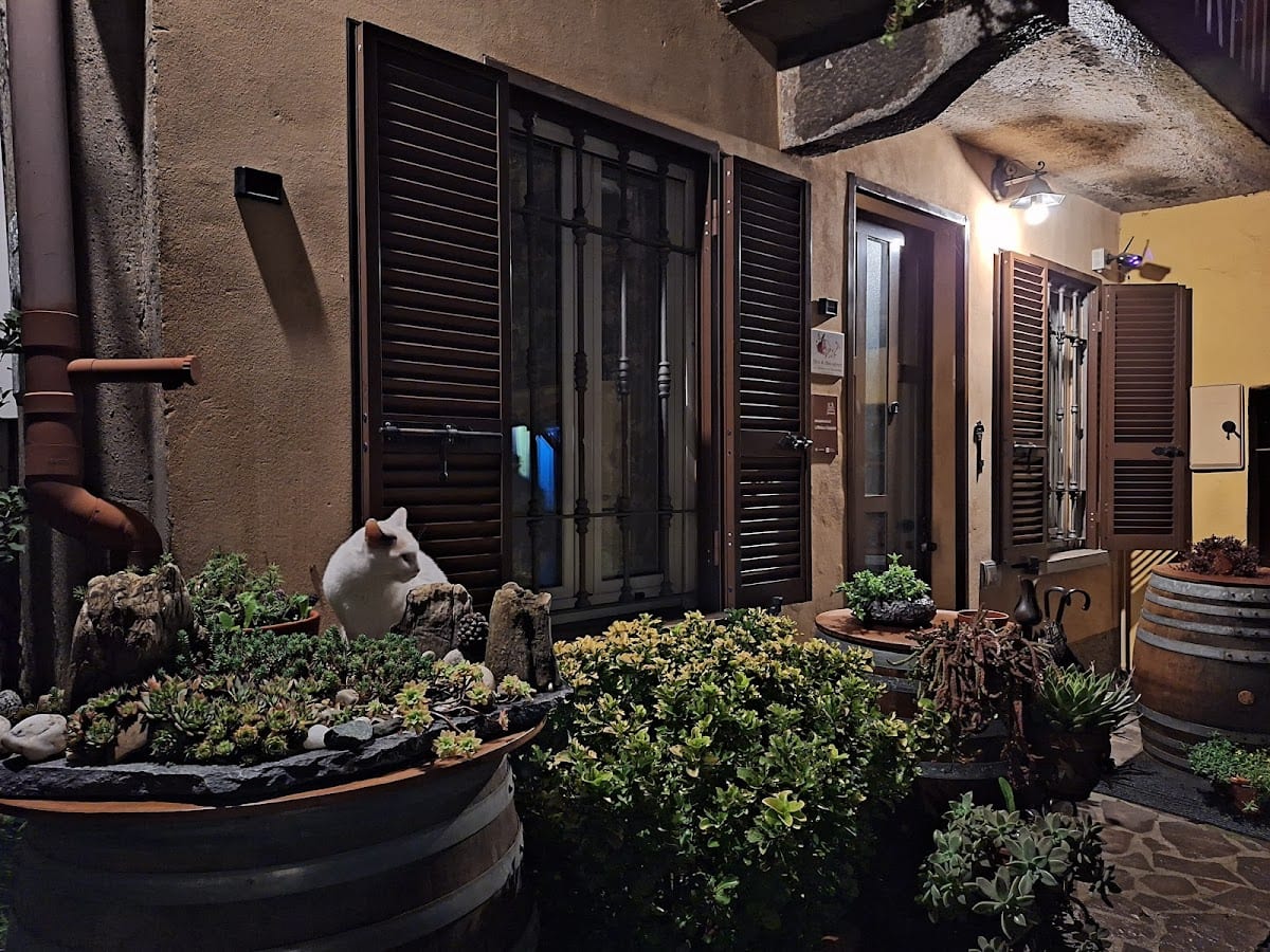 B&B La Mimosa e Il Gelsomino
