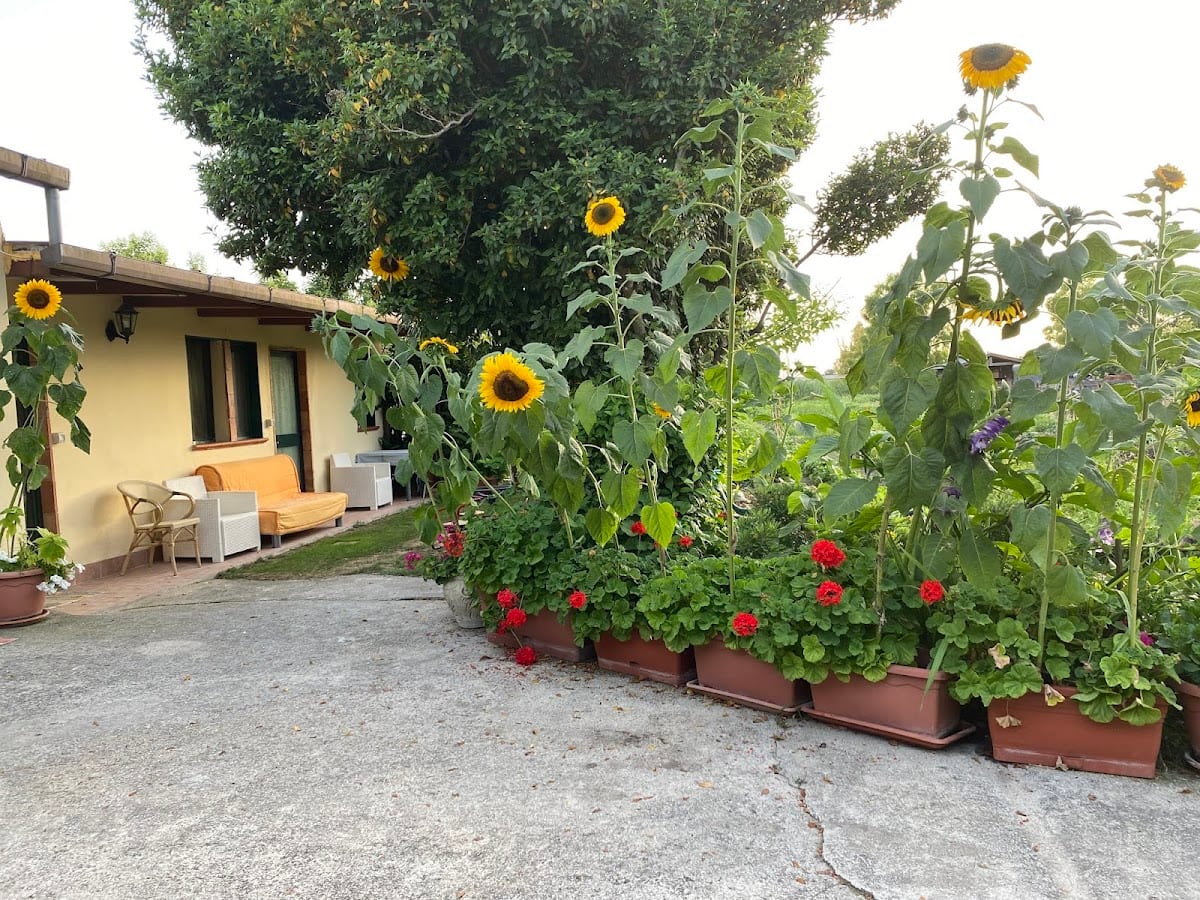 B&B Antica Forneria