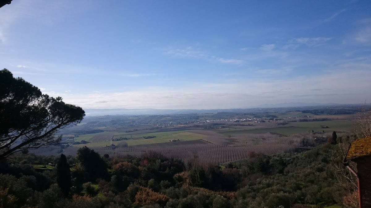 Il Boschetto