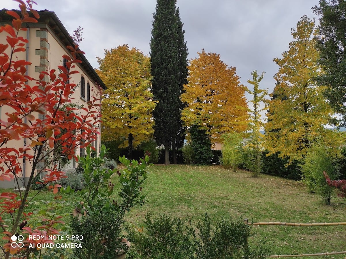 Villa La Ginestra - Casa vacanze / Bed & breakfast