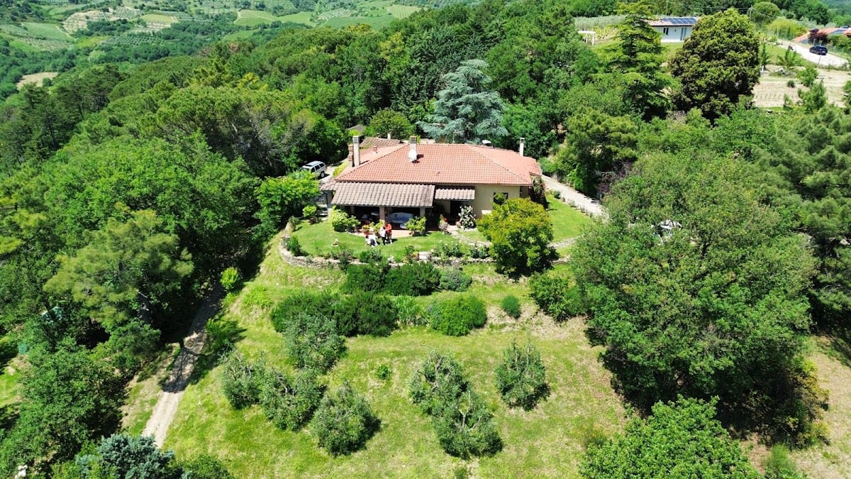 Villaspino