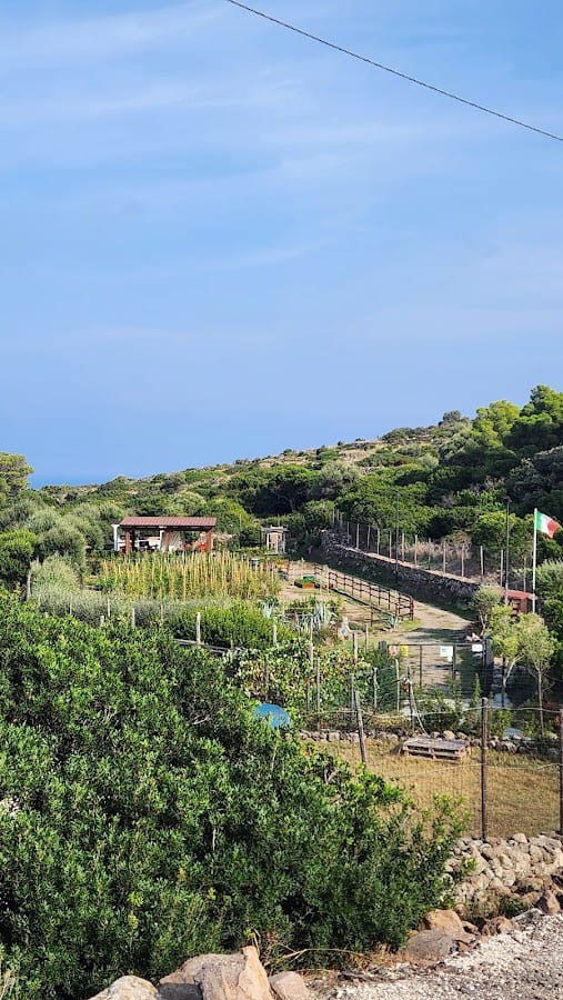 Il Campo di Margherita Azienda Agricola