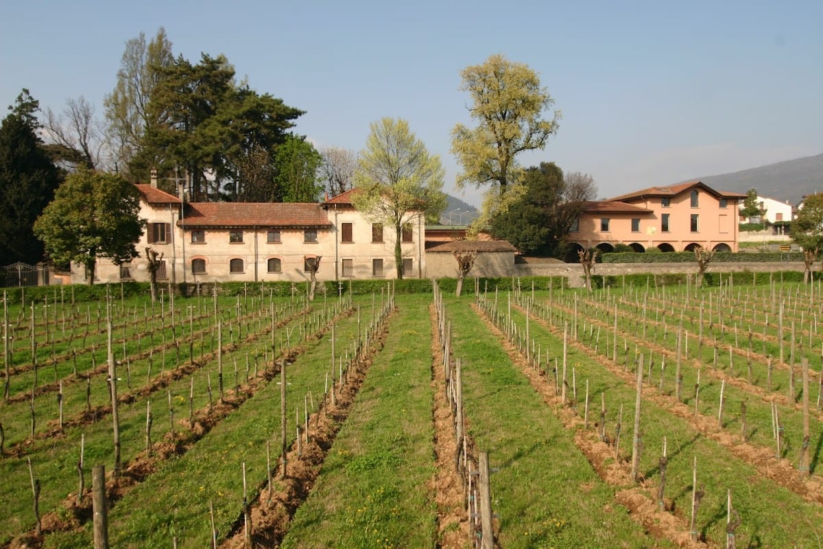 Azienda Agricola Ricci Curbastro