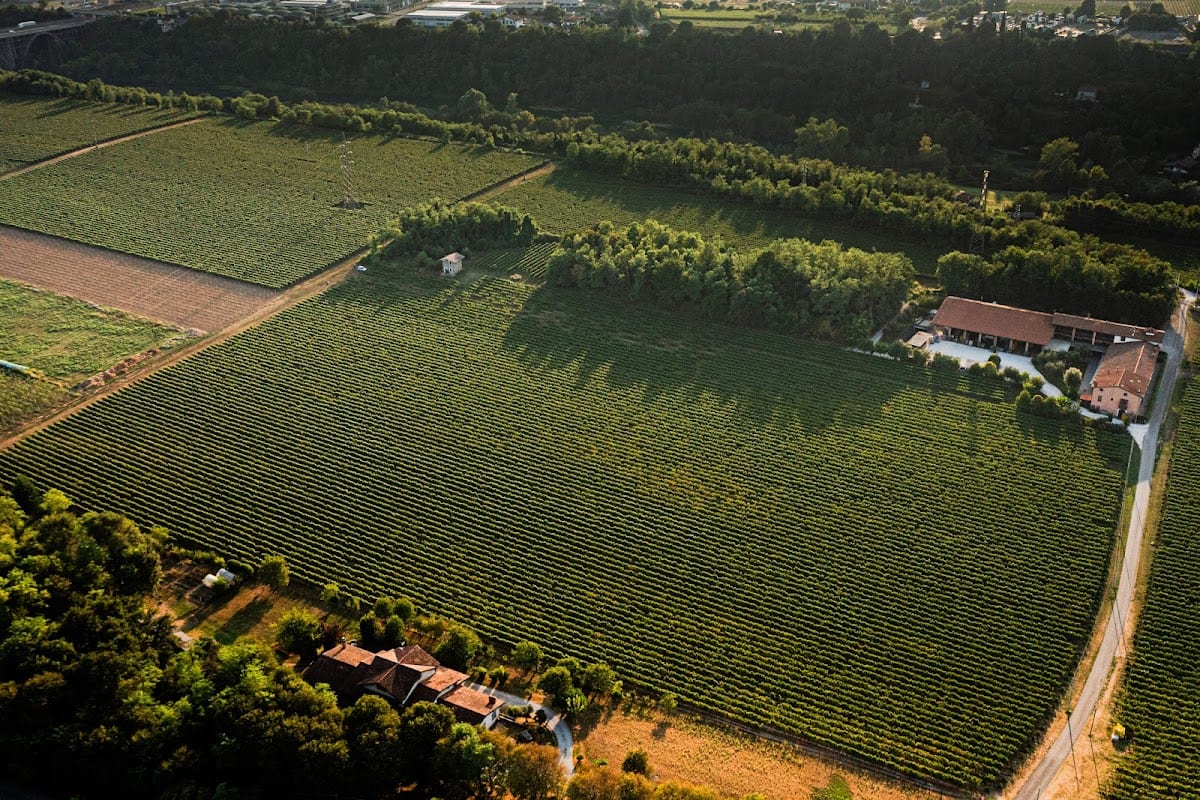 Ripa Del Bosco