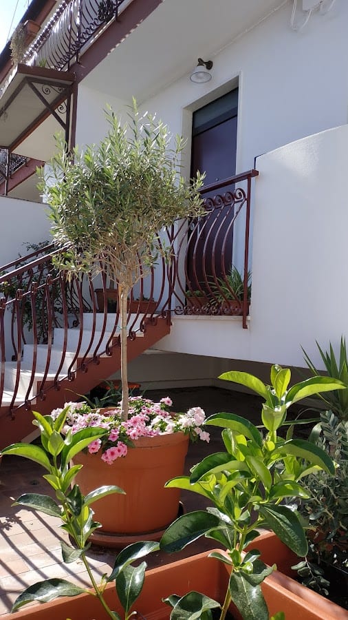Il Cantico B&B