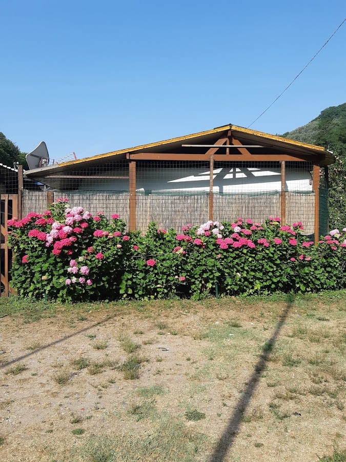 Camping Paradiso