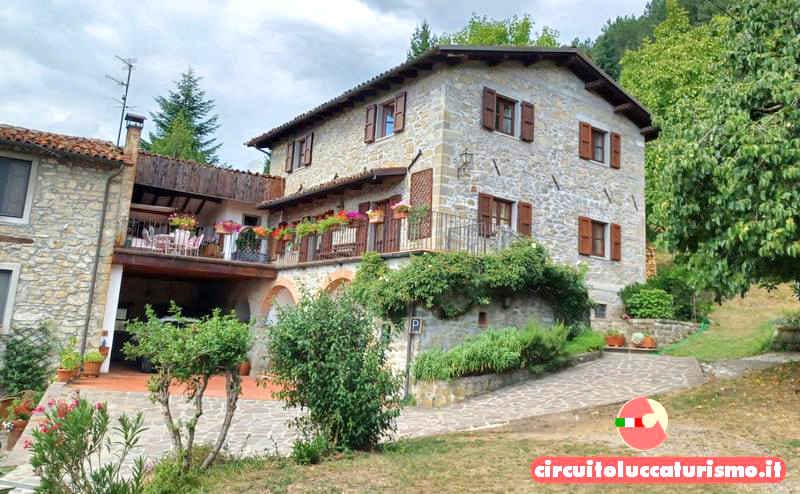 BB Daniela - Camere - Appartamento