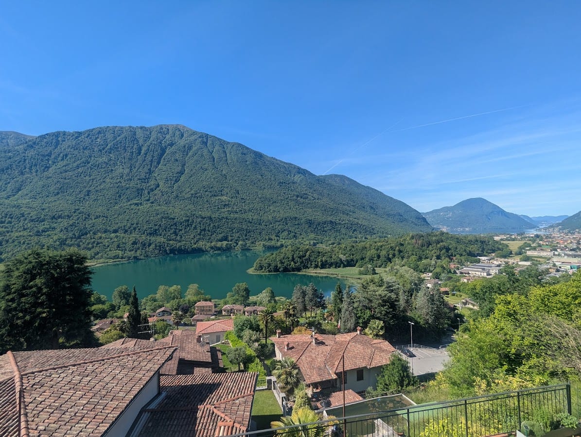 GLI ULIVI