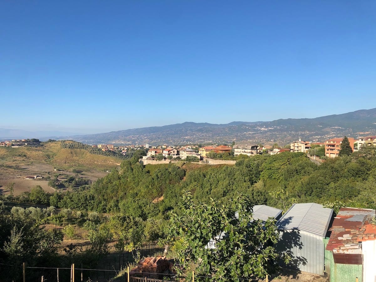 Tetto Verde