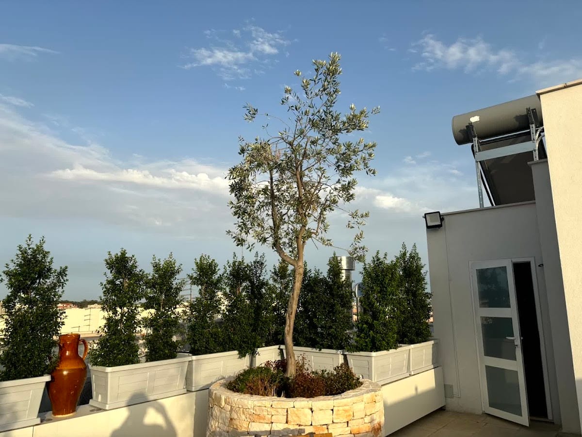 B&B Casa MarFe