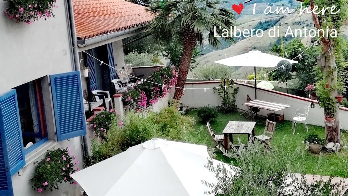 B&B L'albero di Antonia