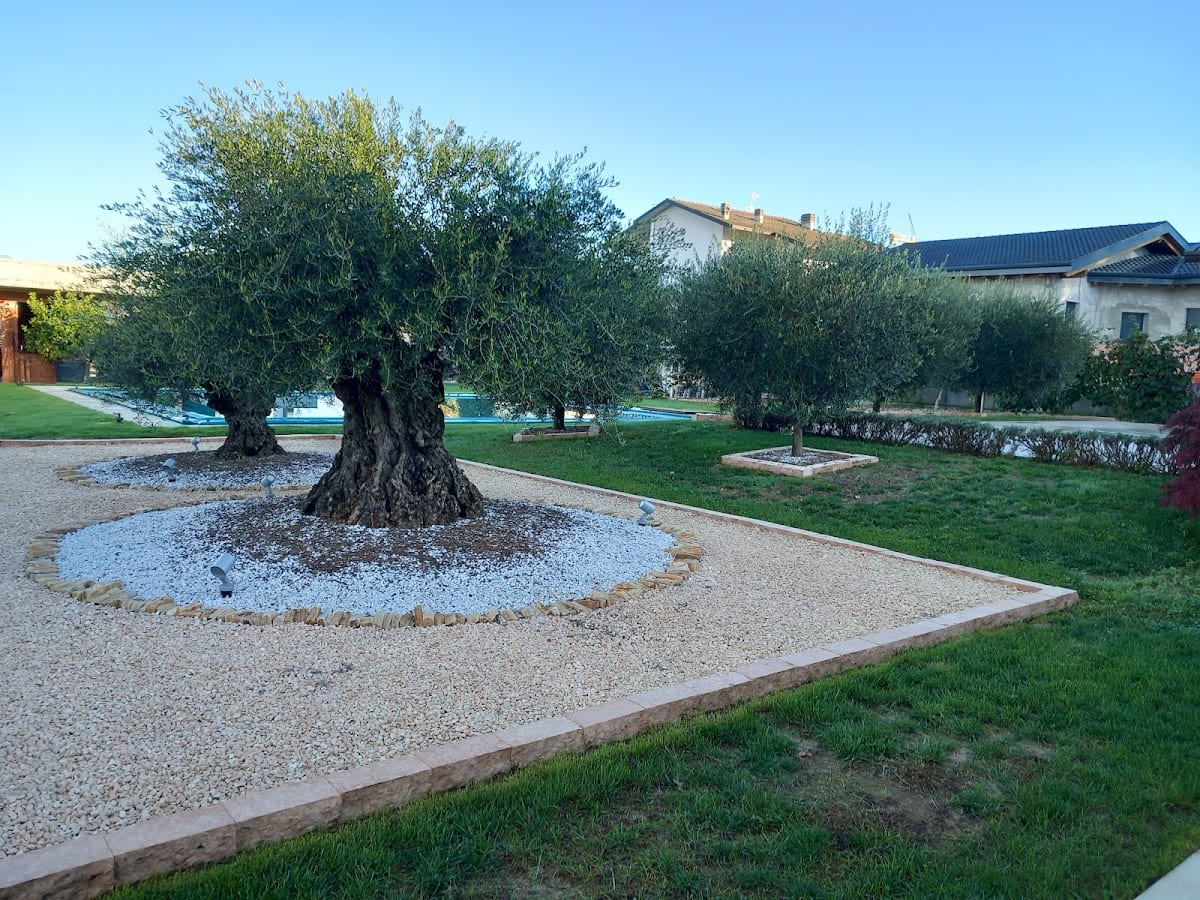 B&B Alciliegio