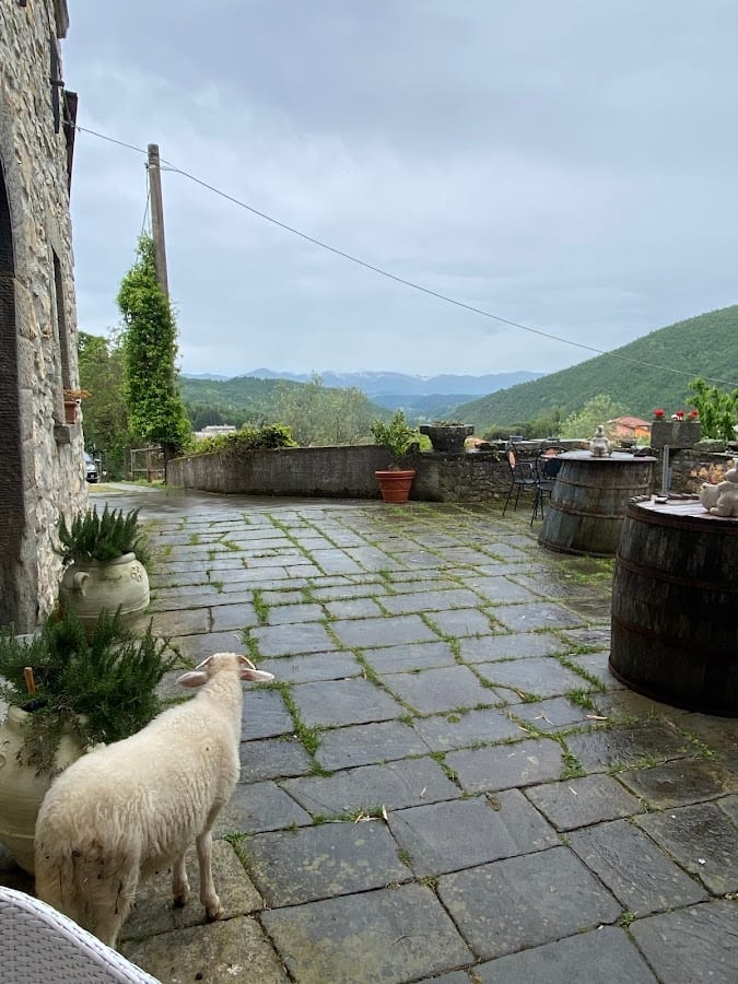 Agriturismo Il Macereto