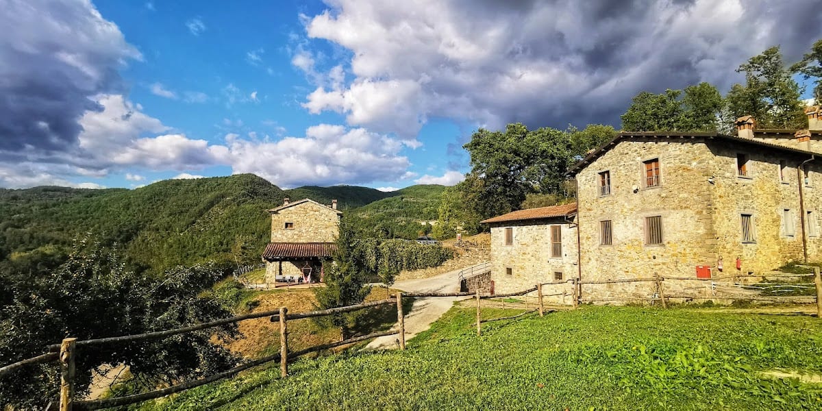 Le chianine dei Tognoli