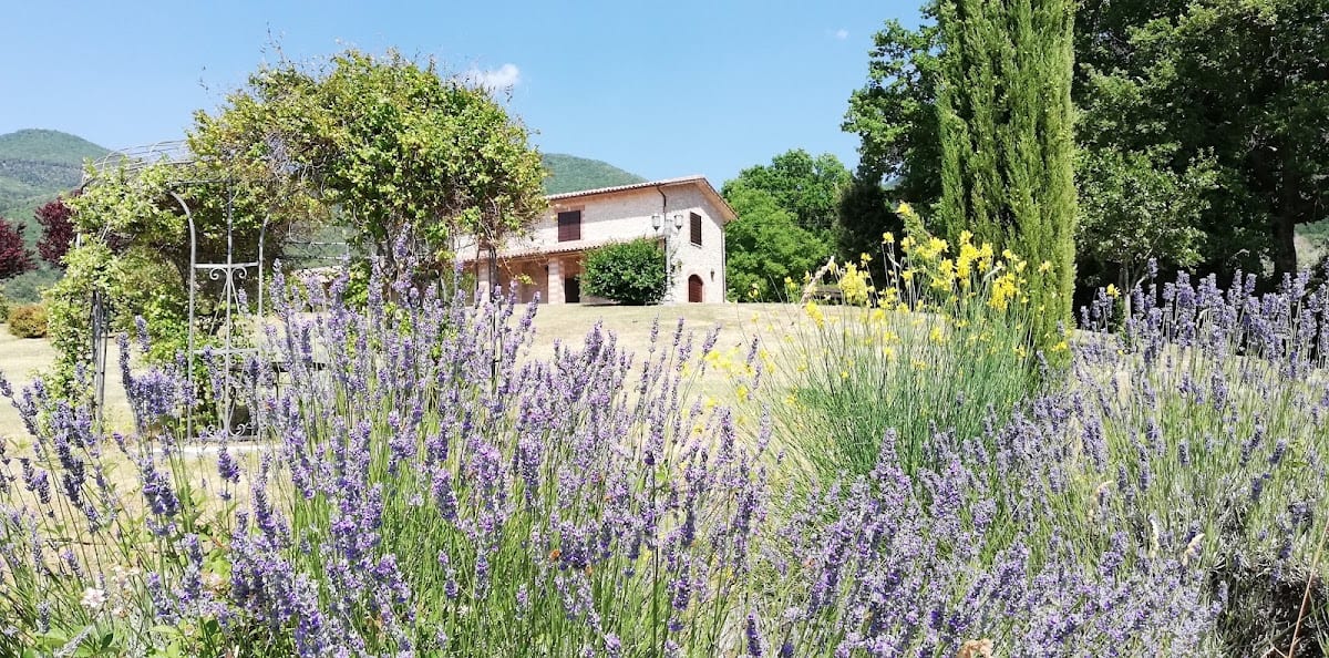 Agriturismo Caprareccia Bianca Holiday Apartments