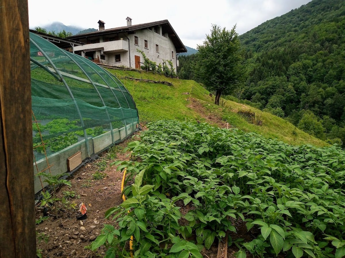 B&B CASCINA CORNELLA CIN: IT097029C1OAXEL54H