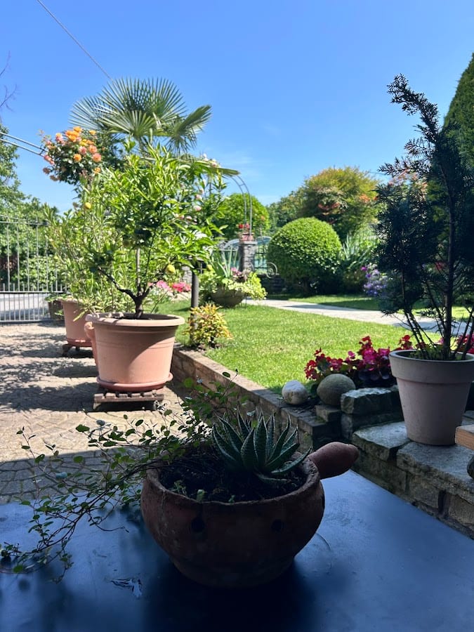 Bed and Breakfast MADERA