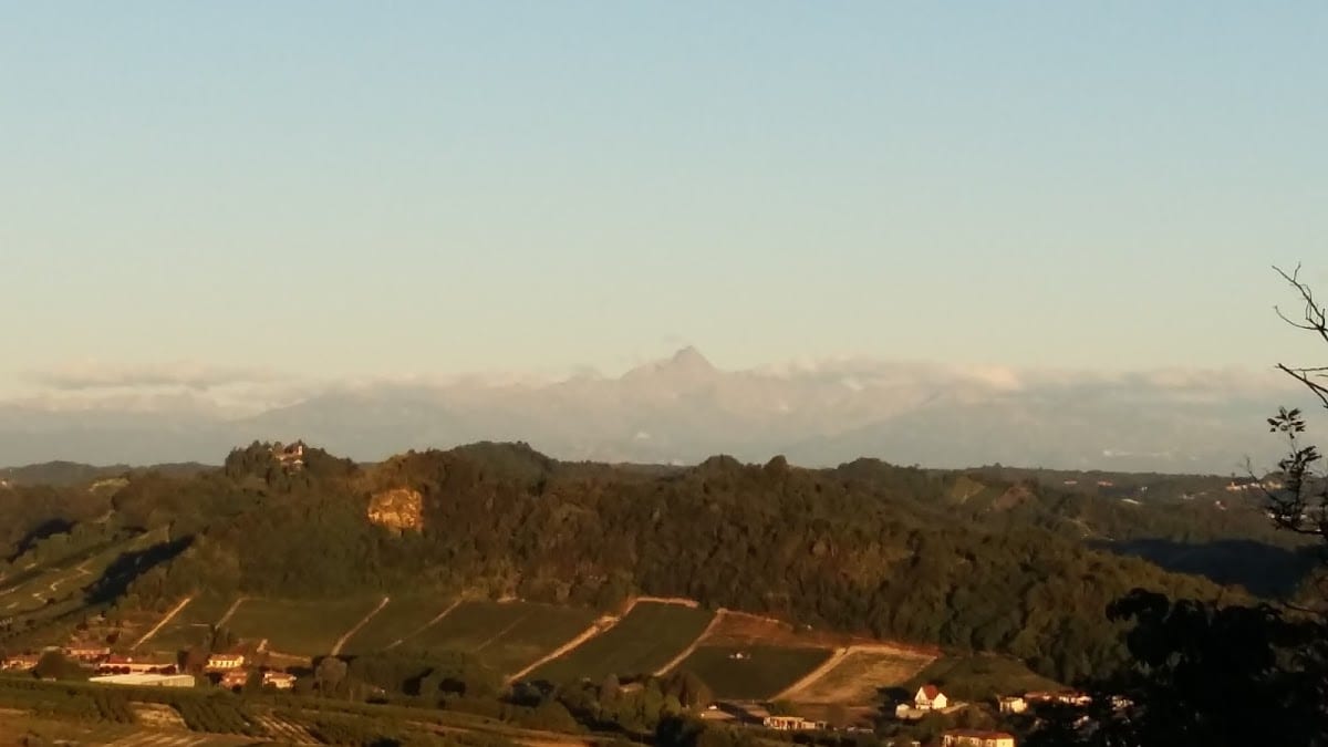 Ca' dei Vini d'Alba