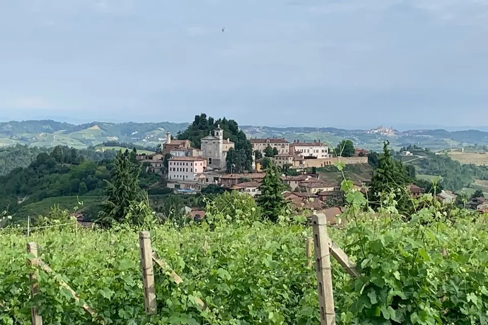 Cascina Cortine