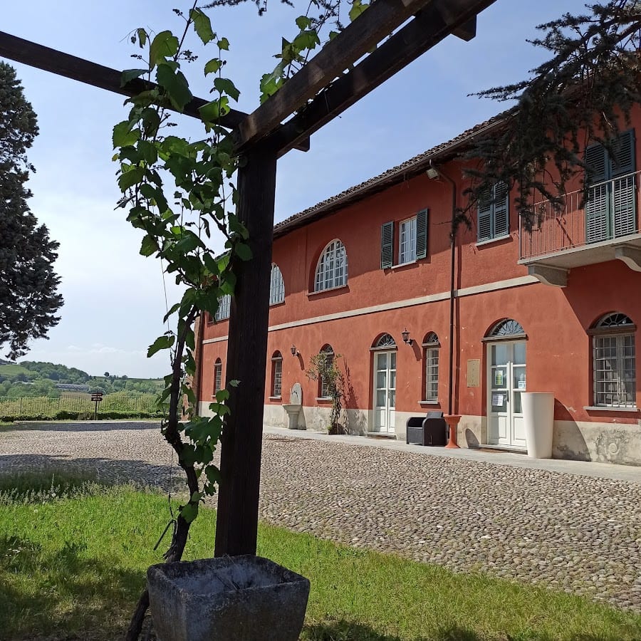 La Mondianese D&Vine