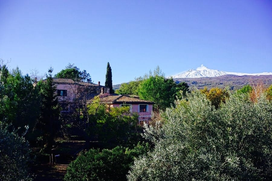 Il Glicine