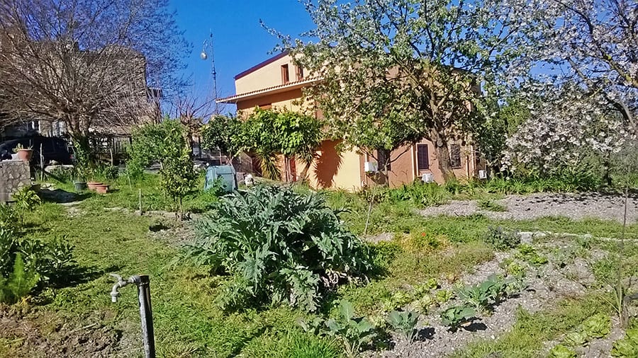 Il Ciliegio Locazione Turistica