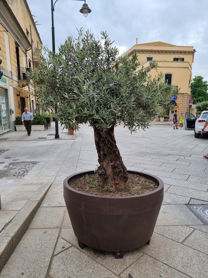 B&B Corso 151