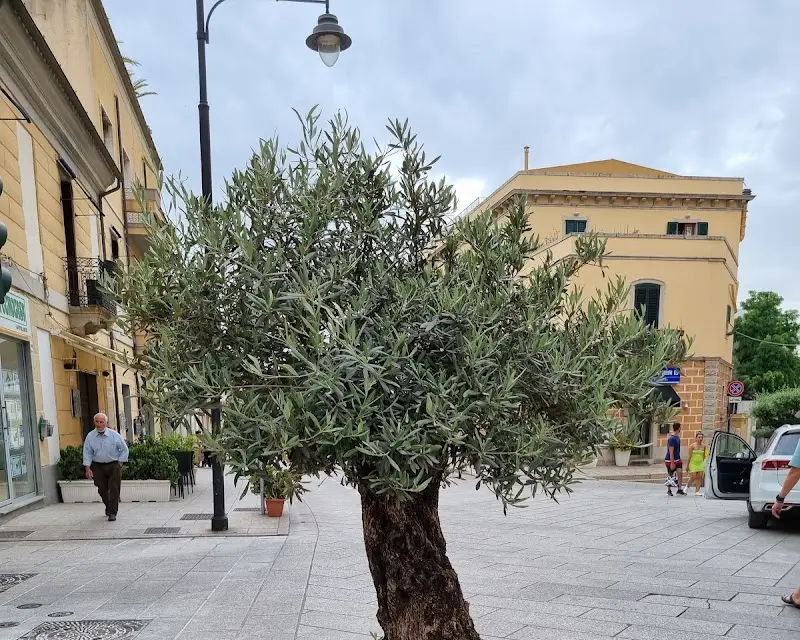 B&B Corso 151