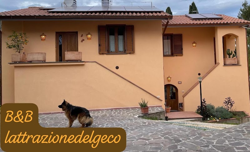 B&B LATTRAZIONEDELGECO