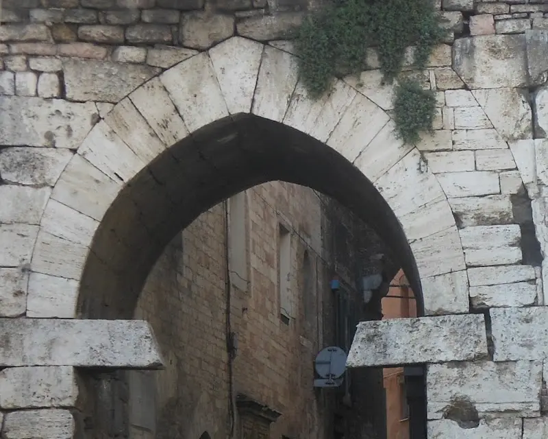 BIO B&B della mandorla