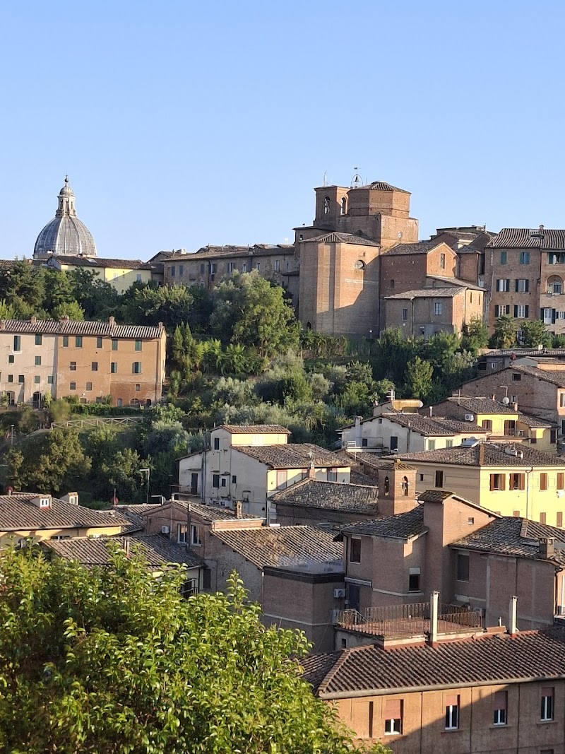 Le Lupe B&B Siena